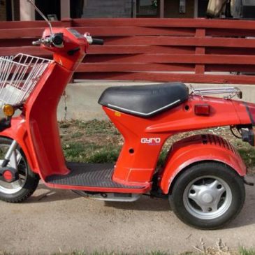 1984 Honda Gyro Scooter – $550 (Sylvania, Oh)