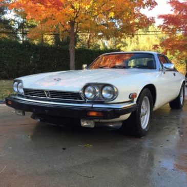 Two Jaguars for the Price of One – $4200 (West Bloomfield)